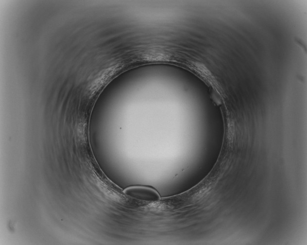 X0000102370441200808081156