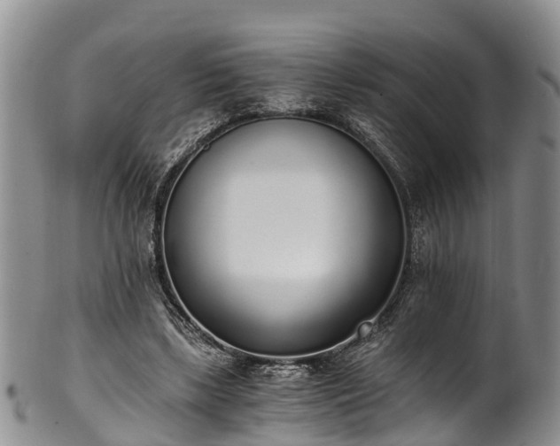 X0000102370443200808081156