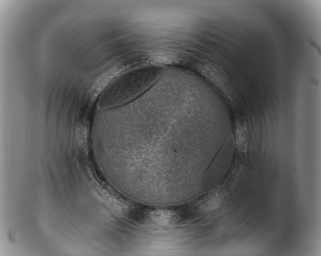 X0000102370444200808081156