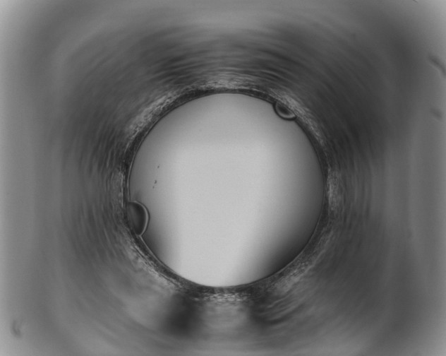 X0000102370445200808081156