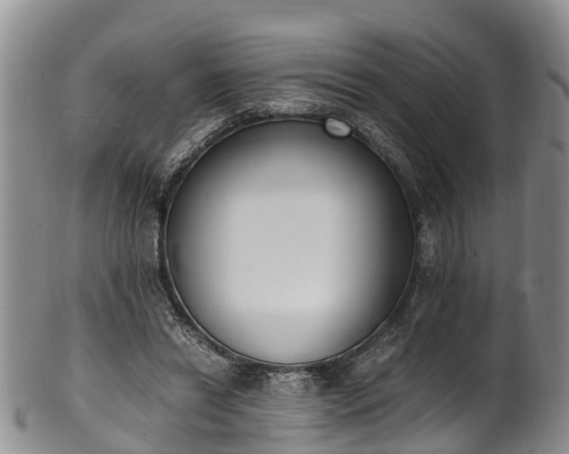 X0000102370446200808081156