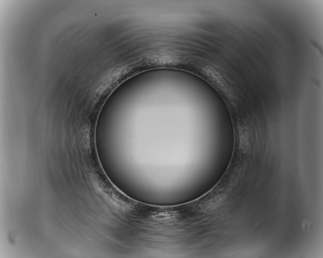 X0000102370447200808081156