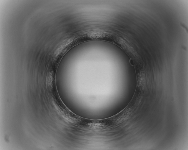 X0000102370448200808081156