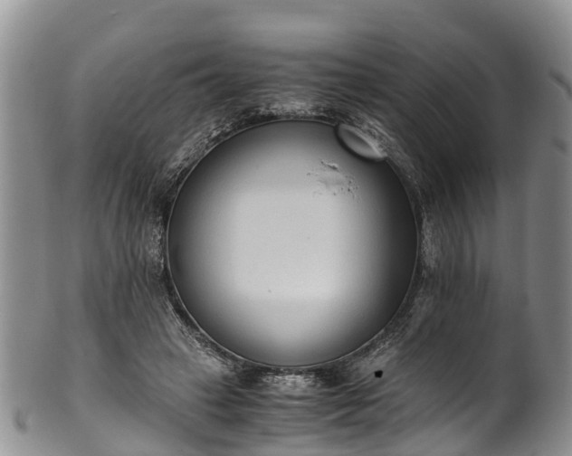 X0000102370449200808081156