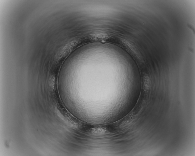 X0000102370451200808081156