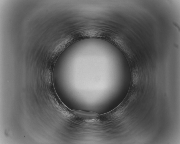 X0000102370453200808081156