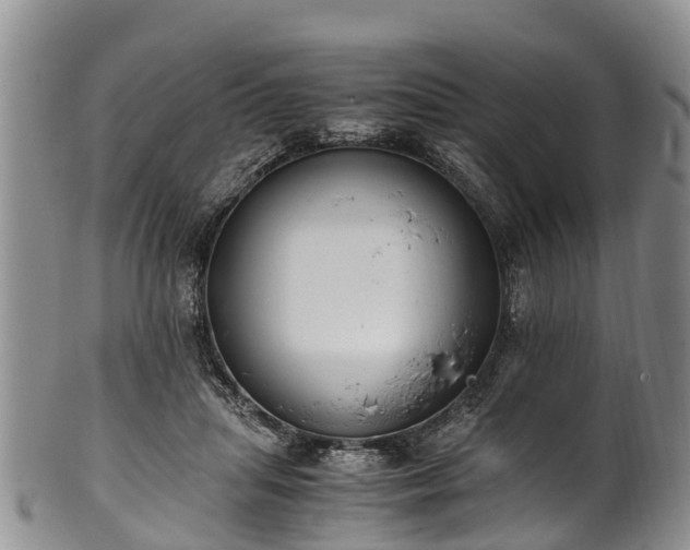 X0000102370455200808081156