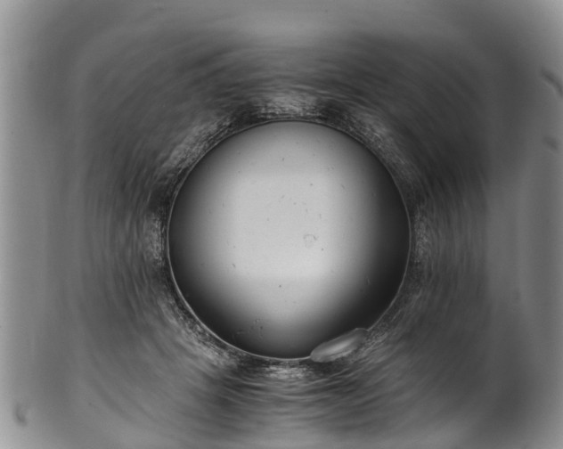 X0000102370457200808081156