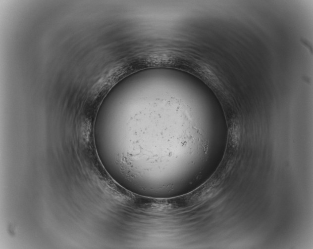 X0000102370458200808081156