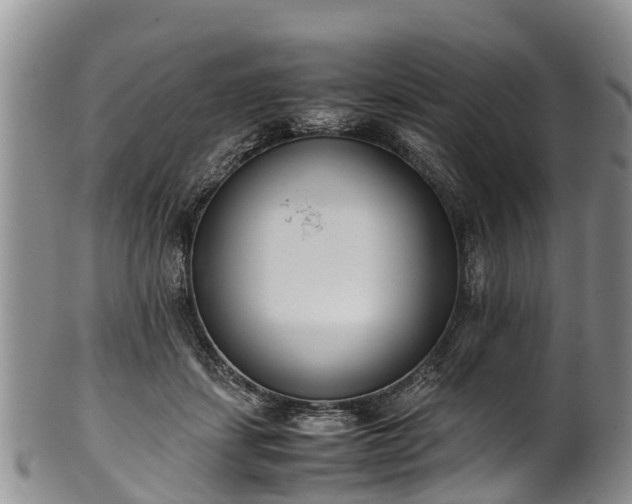 X0000102370459200808081156