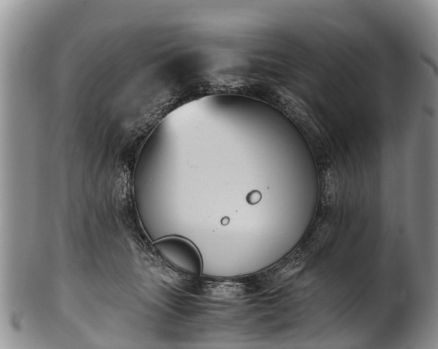 X0000102370463200808081156