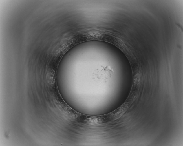 X0000102370464200808081156