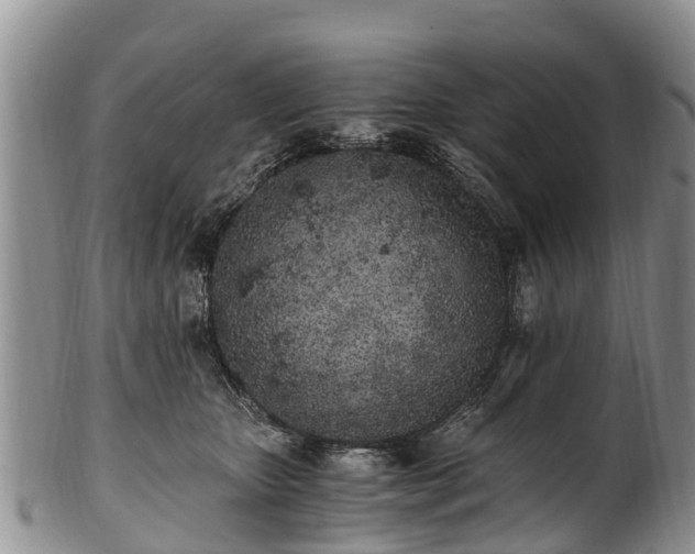 X0000102370467200808081156