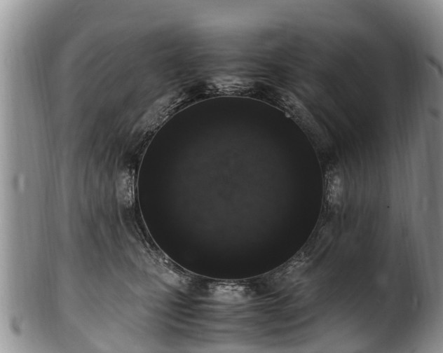 X0000102370471200808081157