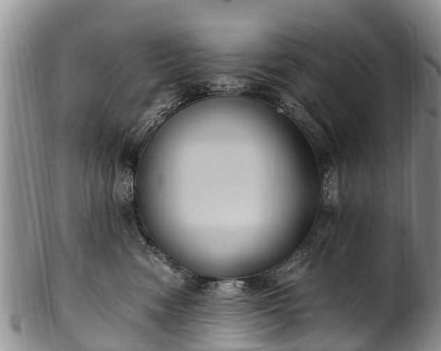 X0000102370474200808081157