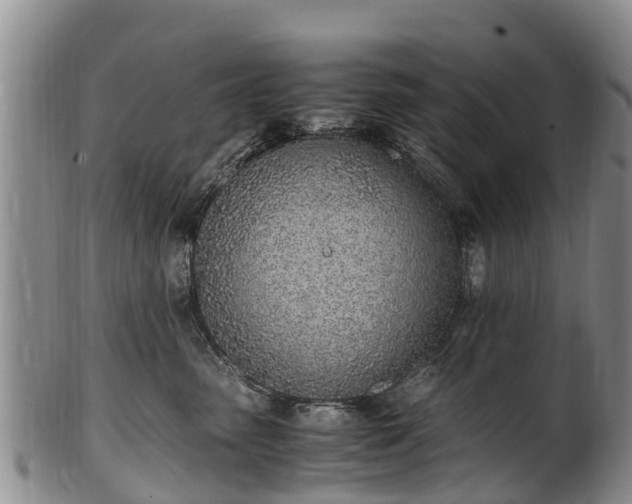 X0000102370475200808081157