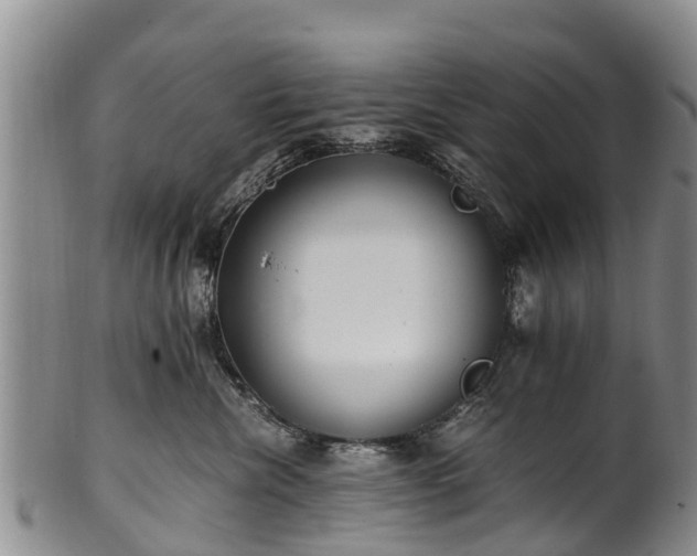 X0000102370476200808081157