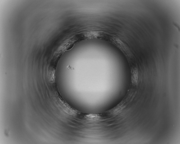 X0000102370477200808081157