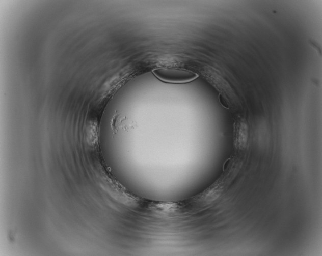 X0000102370478200808081157