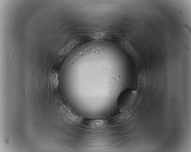 X0000102370479200808081157