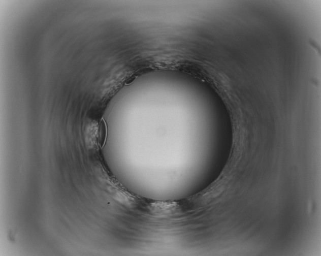 X0000102370480200808081157