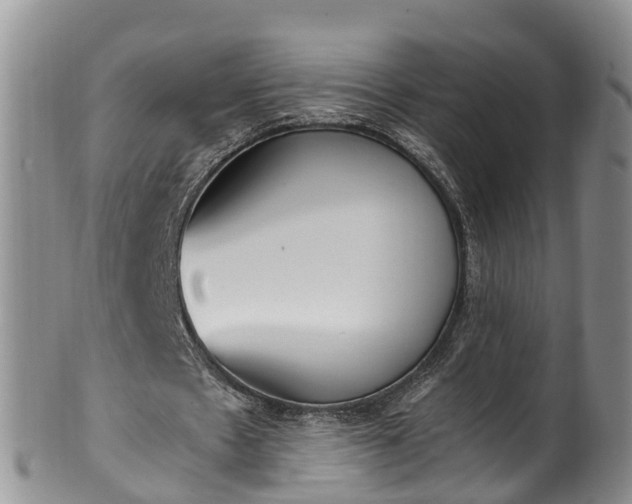 X0000102370481200808081156