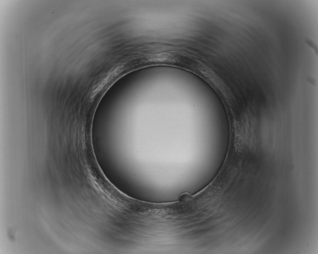 X0000102370482200808081156