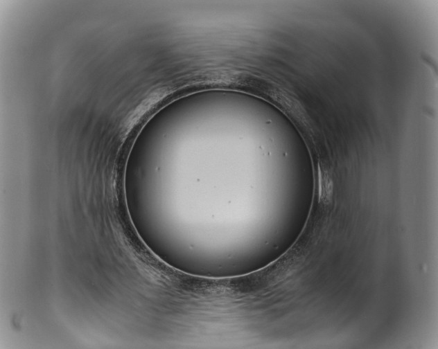 X0000102370483200808081156