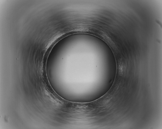 X0000102370484200808081156