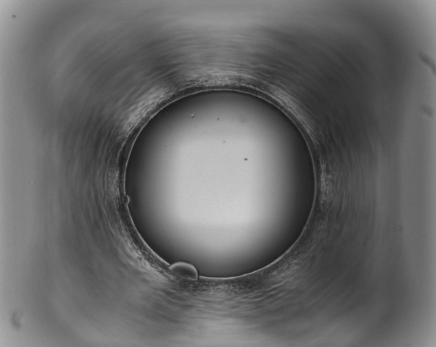 X0000102370485200808081156