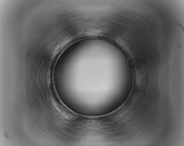 X0000102370486200808081156