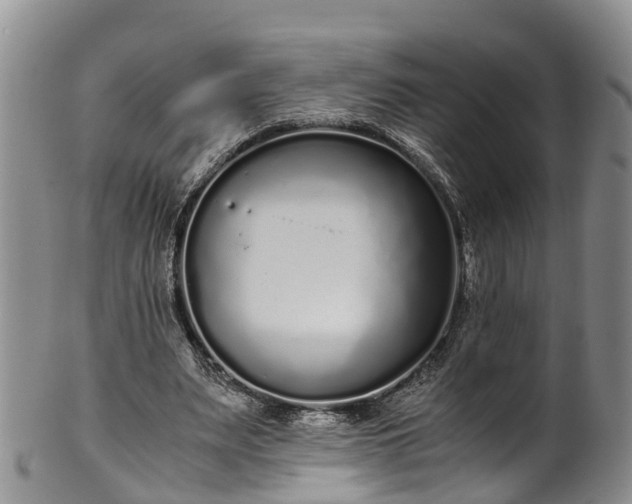 X0000102370487200808081156