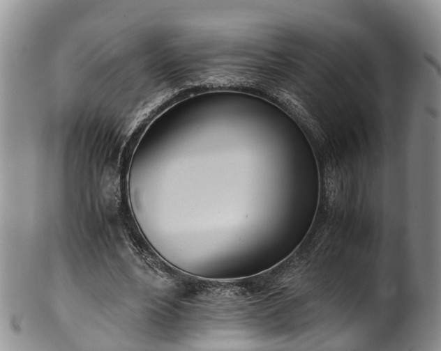 X0000102370488200808081156