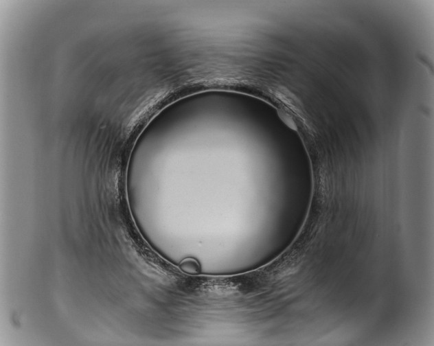 X0000102370491200808081156