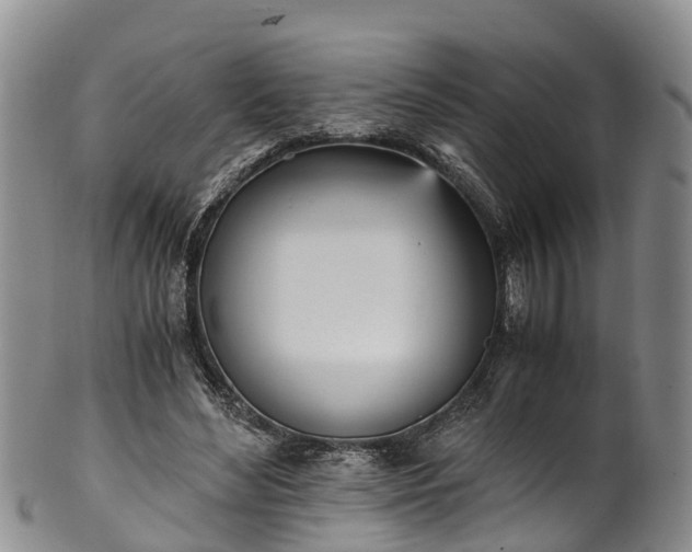 X0000102370492200808081156