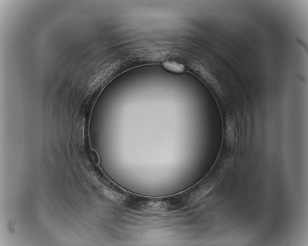 X0000102370493200808081156