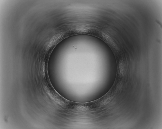 X0000102370494200808081156