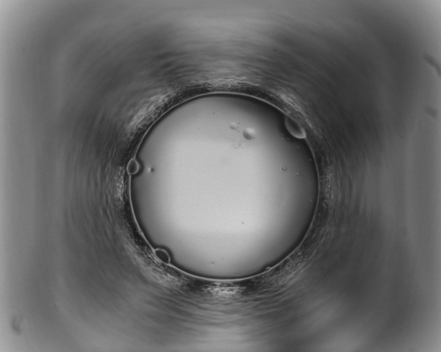 X0000102370495200808081156