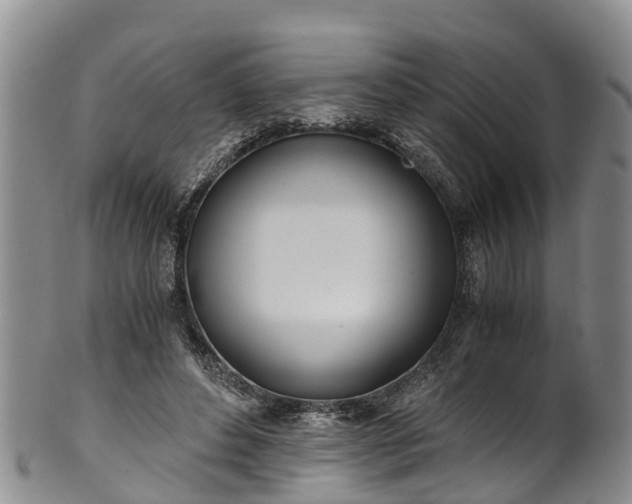 X0000102370496200808081156