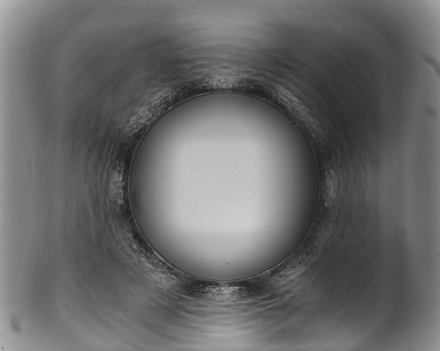 X0000102370497200808081156