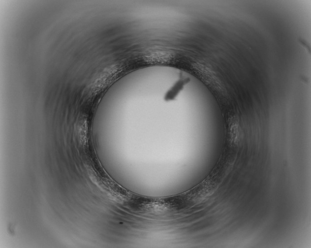 X0000102370498200808081156