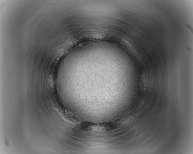 X0000102370500200808081156