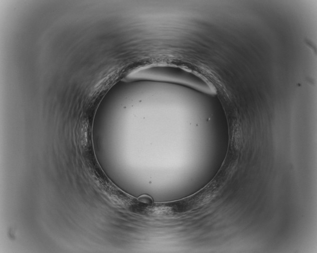 X0000102370501200808081156