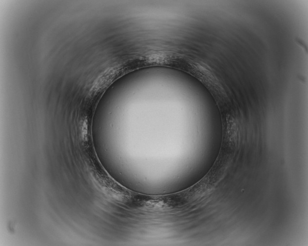 X0000102370502200808081155