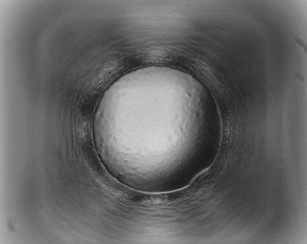 X0000102370503200808081155