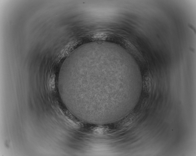 X0000102370504200808081155