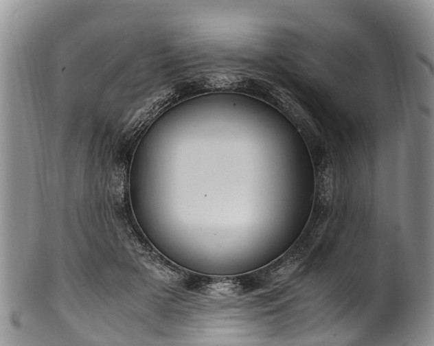 X0000102370505200808081155