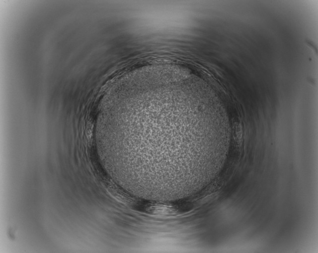 X0000102370507200808081155