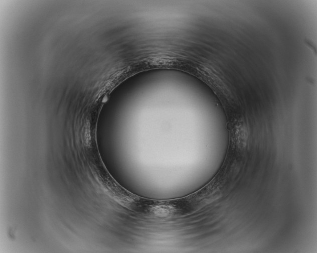 X0000102370508200808081155