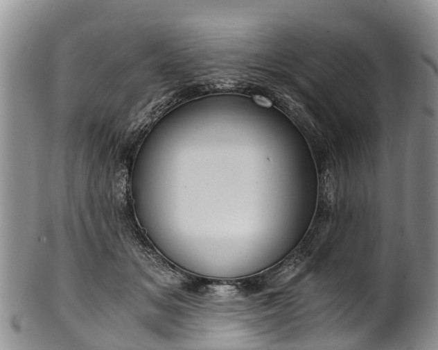 X0000102370509200808081155